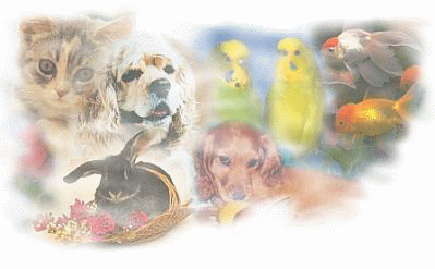 ton animal ?
